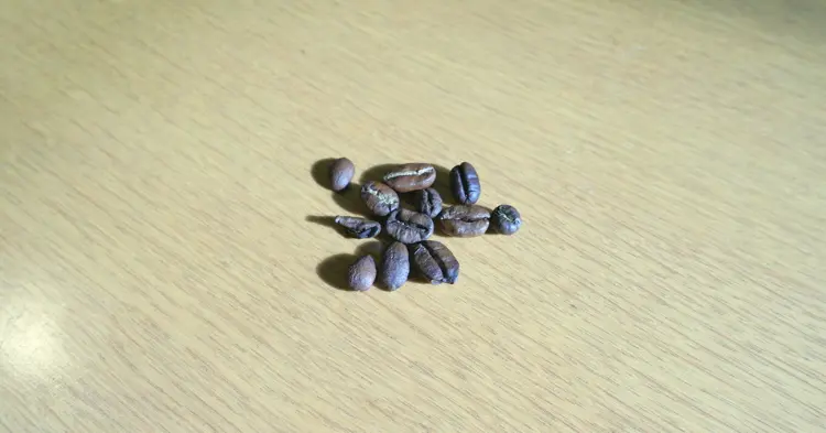 ジャコウマメの分っからできたコーヒー豆